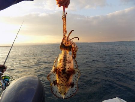 フィッシングボート空風（そらかぜ） 釣果