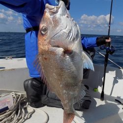 フィッシングボート空風（そらかぜ） 釣果