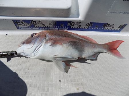 フィッシングボート空風（そらかぜ） 釣果