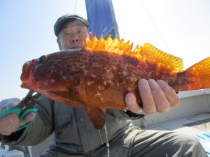 兼六丸 釣果