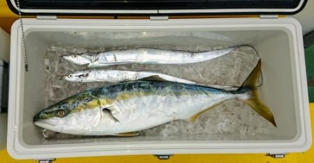 火遠理丸（ほおりまる） 釣果