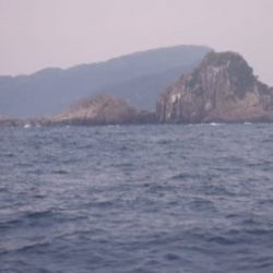 開進丸 釣果