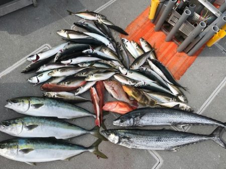 へいみつ丸 釣果