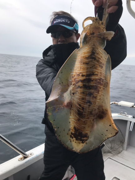 まると屋 釣果