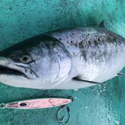 広進丸 釣果