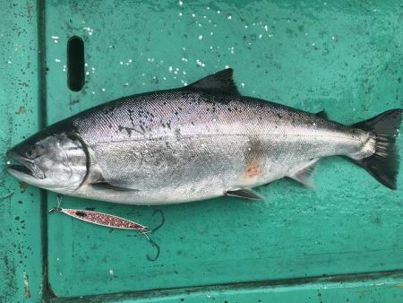 広進丸 釣果