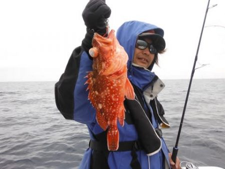 開進丸 釣果