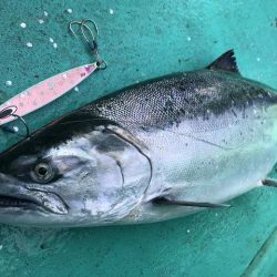 広進丸 釣果