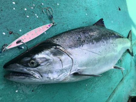 広進丸 釣果