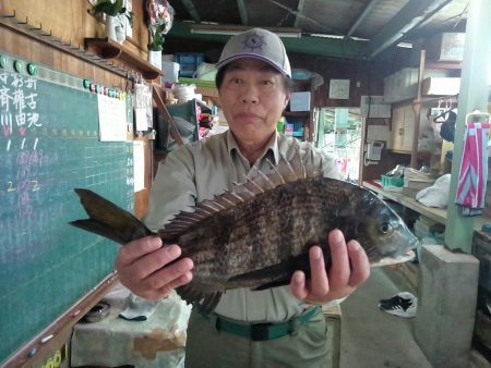 ふじや釣舟店 釣果