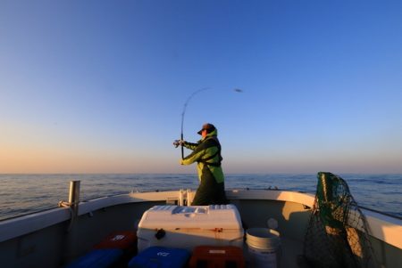 クルーズ 釣果