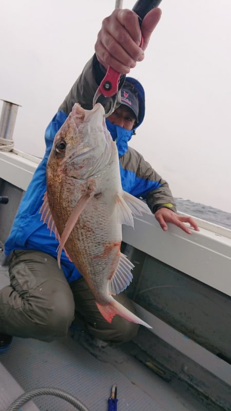 だて丸 釣果