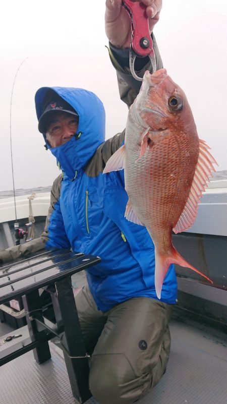 だて丸 釣果