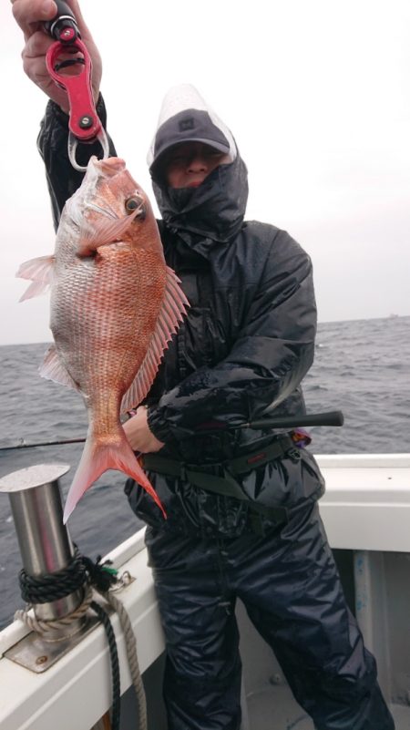 だて丸 釣果