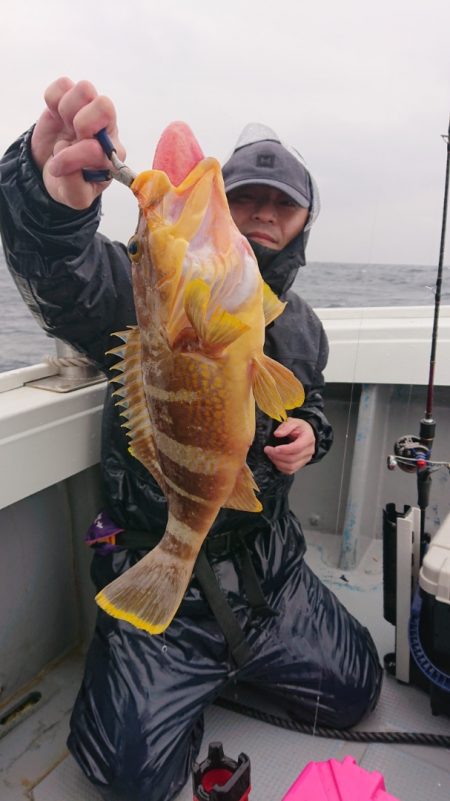 だて丸 釣果