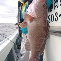 だて丸 釣果