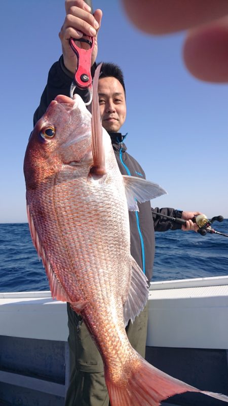 だて丸 釣果