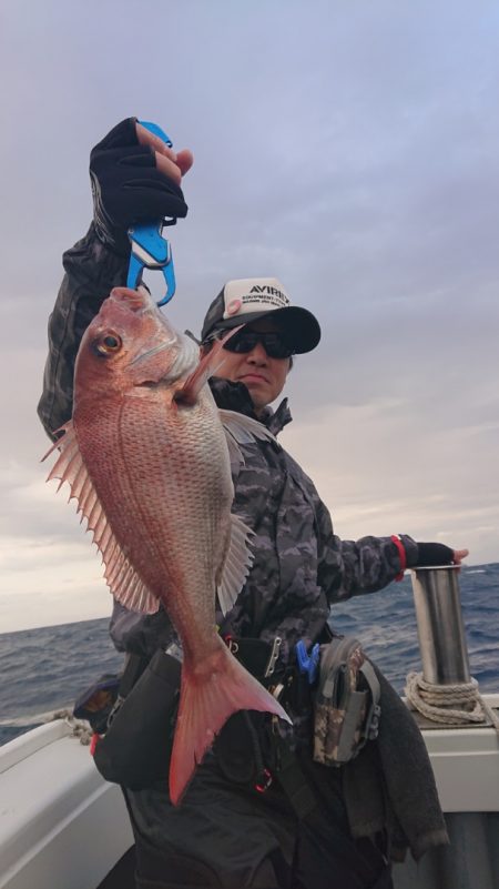 だて丸 釣果