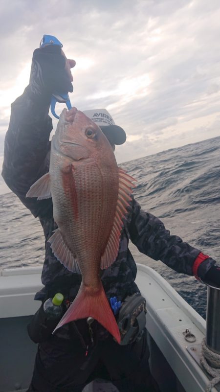 だて丸 釣果