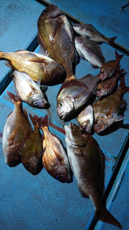 シースナイパー海龍 釣果