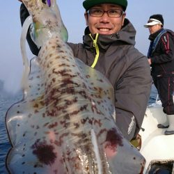 きずなまりん 釣果