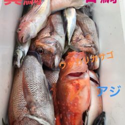 龍神丸（鹿児島） 釣果