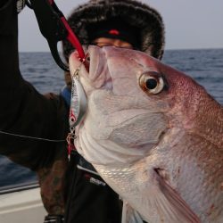 鷹王丸 釣果