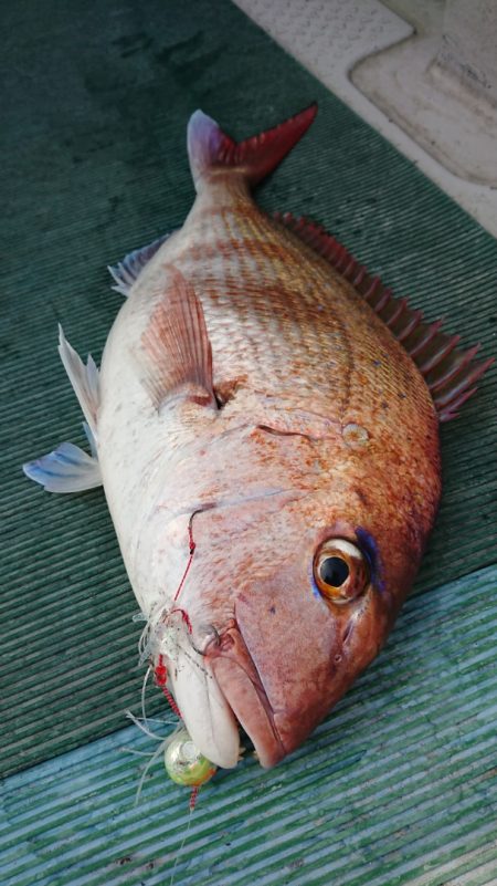 鷹王丸 釣果