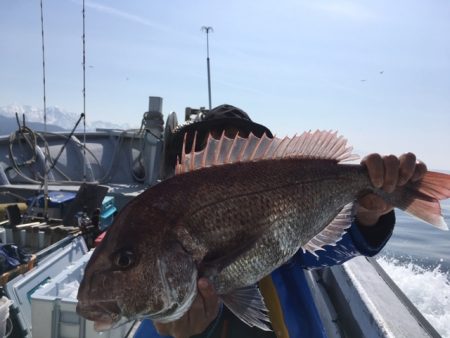 金栄丸 釣果