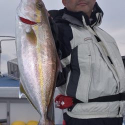 渡船屋たにぐち 釣果