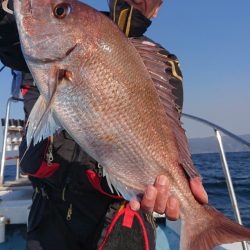 シースナイパー海龍 釣果