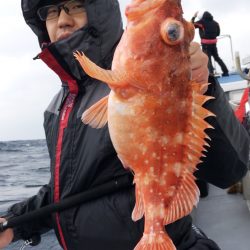 渡船屋たにぐち 釣果