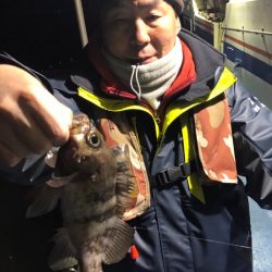 ヤザワ渡船 釣果