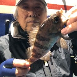 ヤザワ渡船 釣果