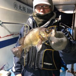 ヤザワ渡船 釣果