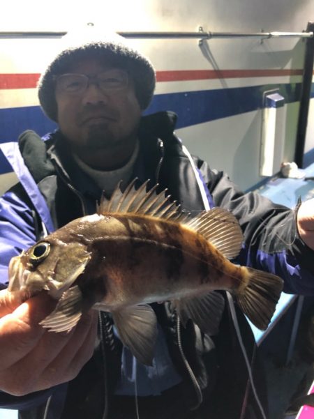 ヤザワ渡船 釣果