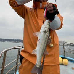 みやけ丸 釣果