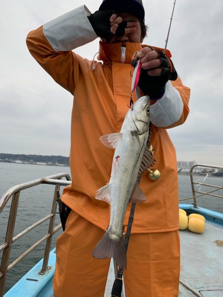 みやけ丸 釣果