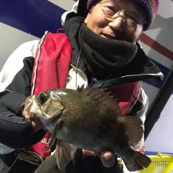 ヤザワ渡船 釣果