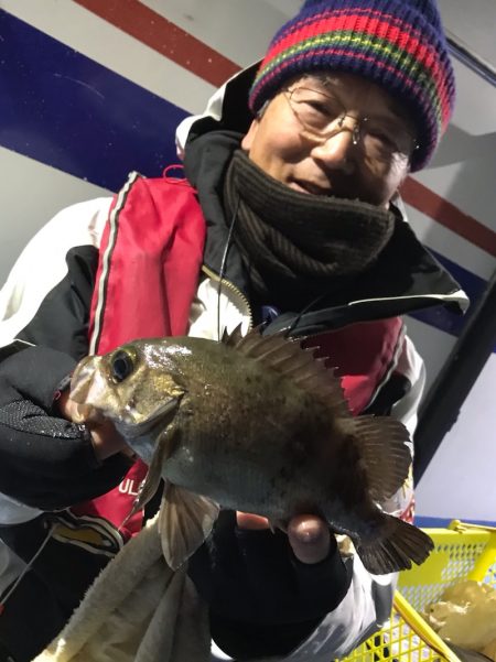 ヤザワ渡船 釣果