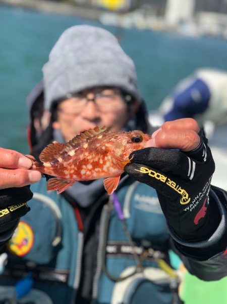 丸万釣船 釣果