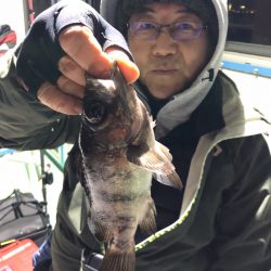 ヤザワ渡船 釣果