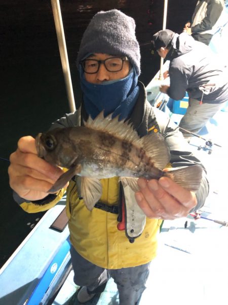 ヤザワ渡船 釣果