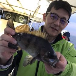 ヤザワ渡船 釣果