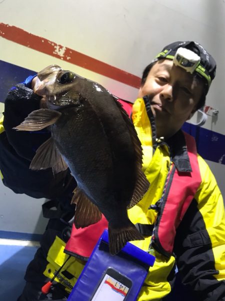 ヤザワ渡船 釣果