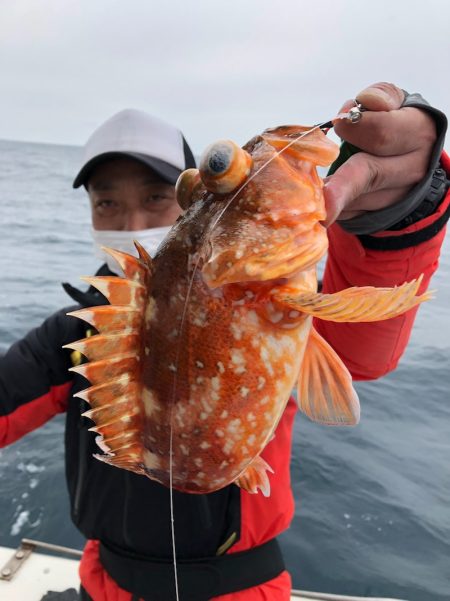 あみや渡船 JIGBOY 釣果