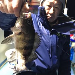 ヤザワ渡船 釣果