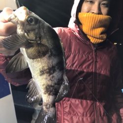 ヤザワ渡船 釣果