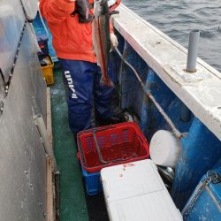 芳陽丸 釣果