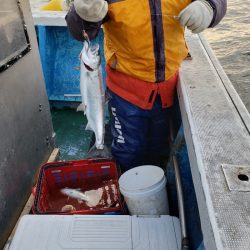 芳陽丸 釣果